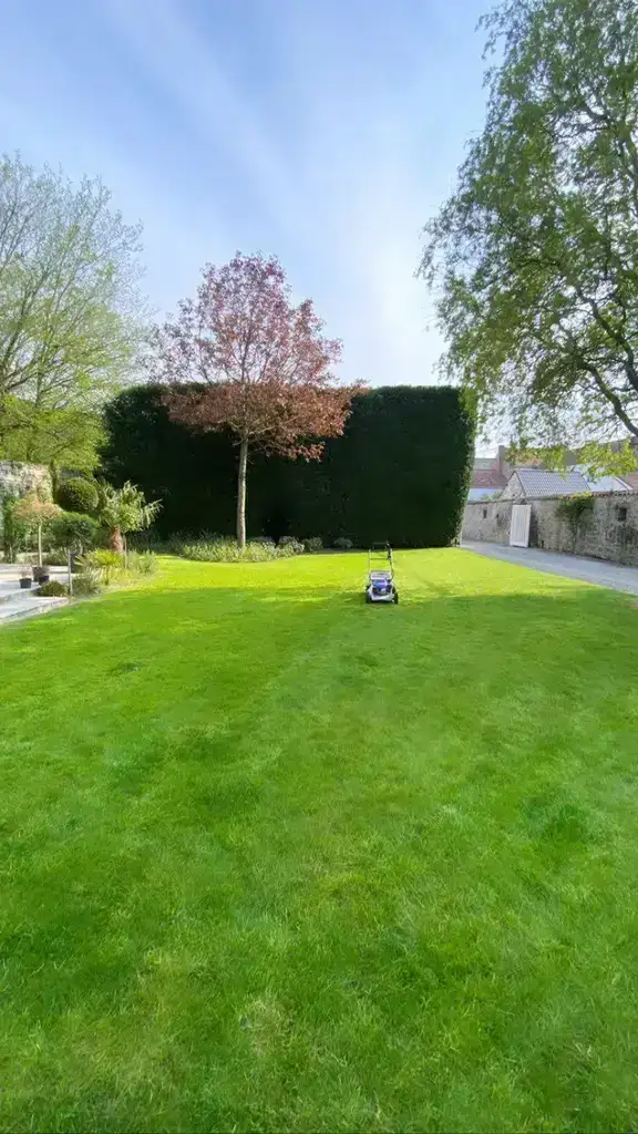 Réalisation KN Garden
