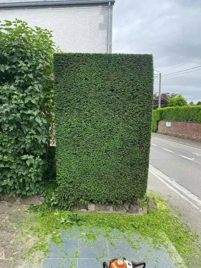 Réalisation KN Garden