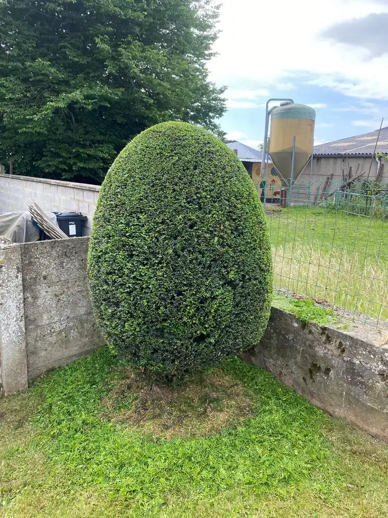 Réalisation KN Garden